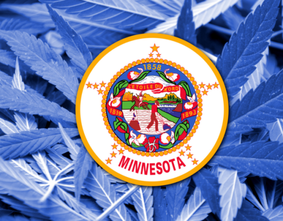 minnesota social equity