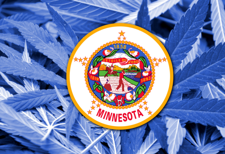 minnesota social equity