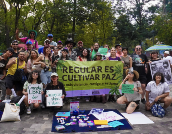 Mexico's Congress Has Had Four Years to Pass a Cannabis Law. 15,000 People Just Ran Out of Patience.