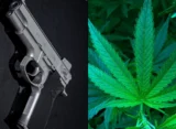 New ATF Gun Form Recognizes Medical Marijuana's Federally Legal Status Under Trump's Rescheduling Move