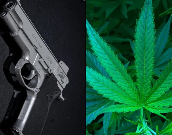 New ATF Gun Form Recognizes Medical Marijuana's Federally Legal Status Under Trump's Rescheduling Move