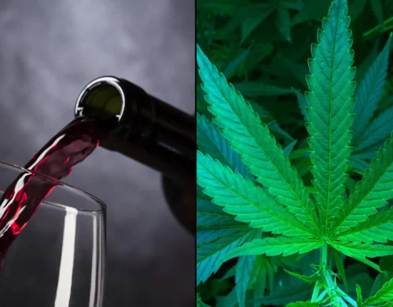 New Jersey Lawmakers Approve Bill To Allow Large-Size Hemp THC Drinks To Be Sold In Liquor Stores