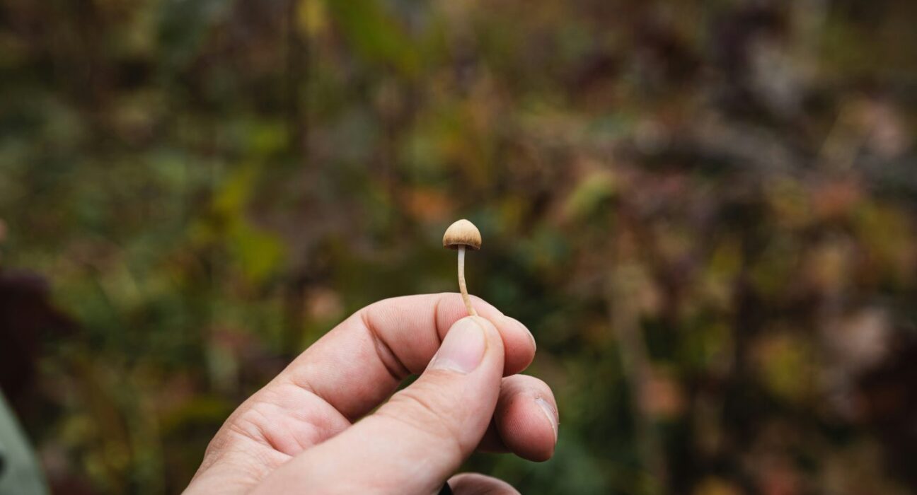 Psychedelic Decriminalization Support Flat For Two Years, UC Berkeley Survey Finds
