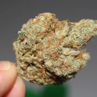 The 'Vast Majority Of Americans' Support Marijuana Legalization, New Pew Poll Shows