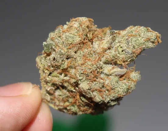 The 'Vast Majority Of Americans' Support Marijuana Legalization, New Pew Poll Shows