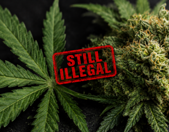 Trump's Drug Czar Says Marijuana Still Illegal After Schedule III Reclassification