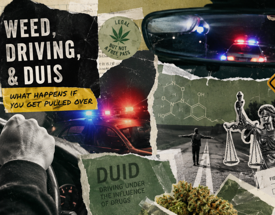 cannabis dui