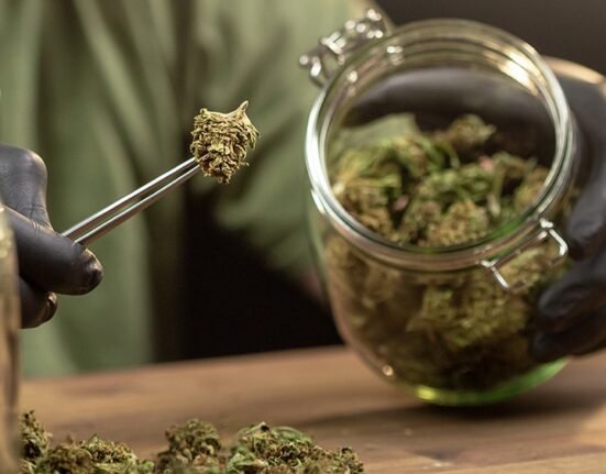 Massachusetts High Court Allows Ballot Measure to End Adult-Use Cannabis Sales to Proceed