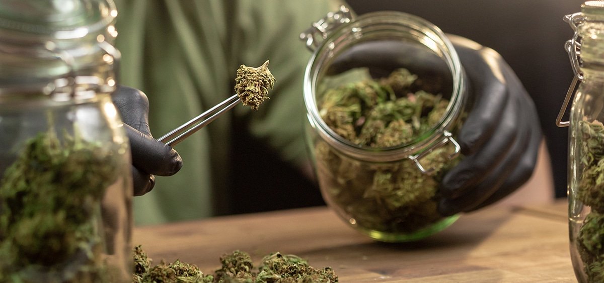 Massachusetts High Court Allows Ballot Measure to End Adult-Use Cannabis Sales to Proceed