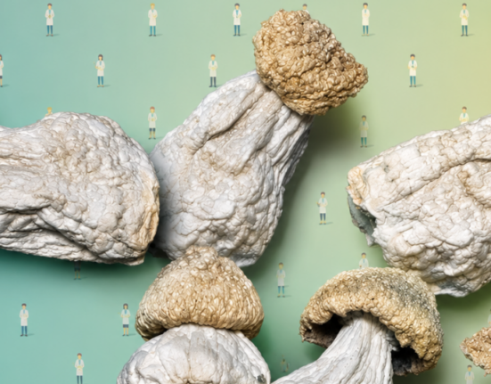 Mushrooms Got 10x Stronger Since 2019. World’s Biggest Shroom Church Built A Calculator So You Don't Run Naked Down The Street.