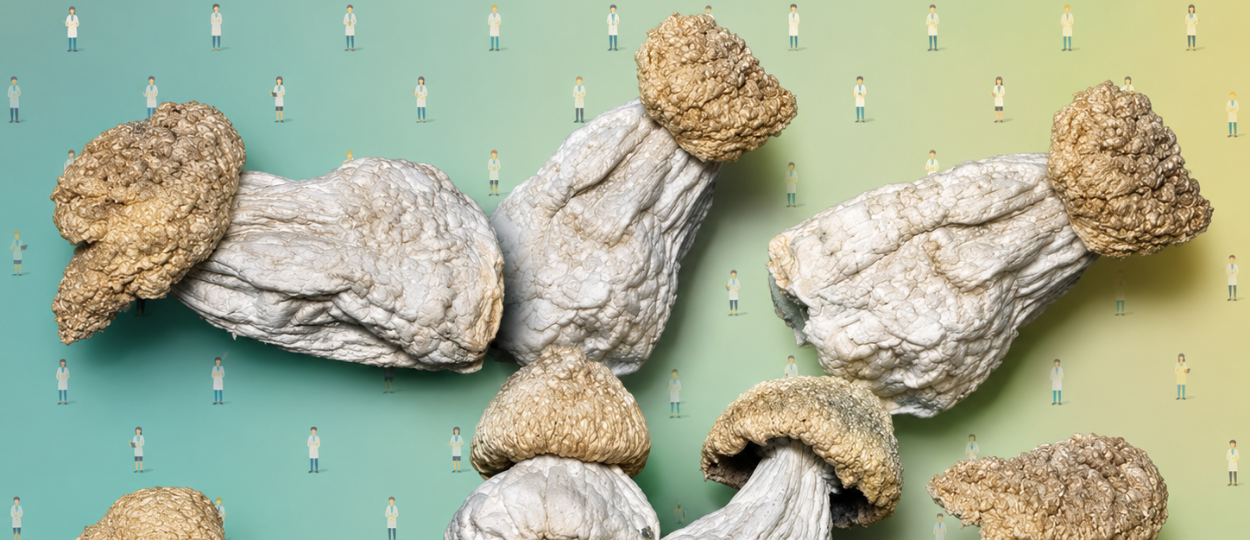 Mushrooms Got 10x Stronger Since 2019. World’s Biggest Shroom Church Built A Calculator So You Don't Run Naked Down The Street.