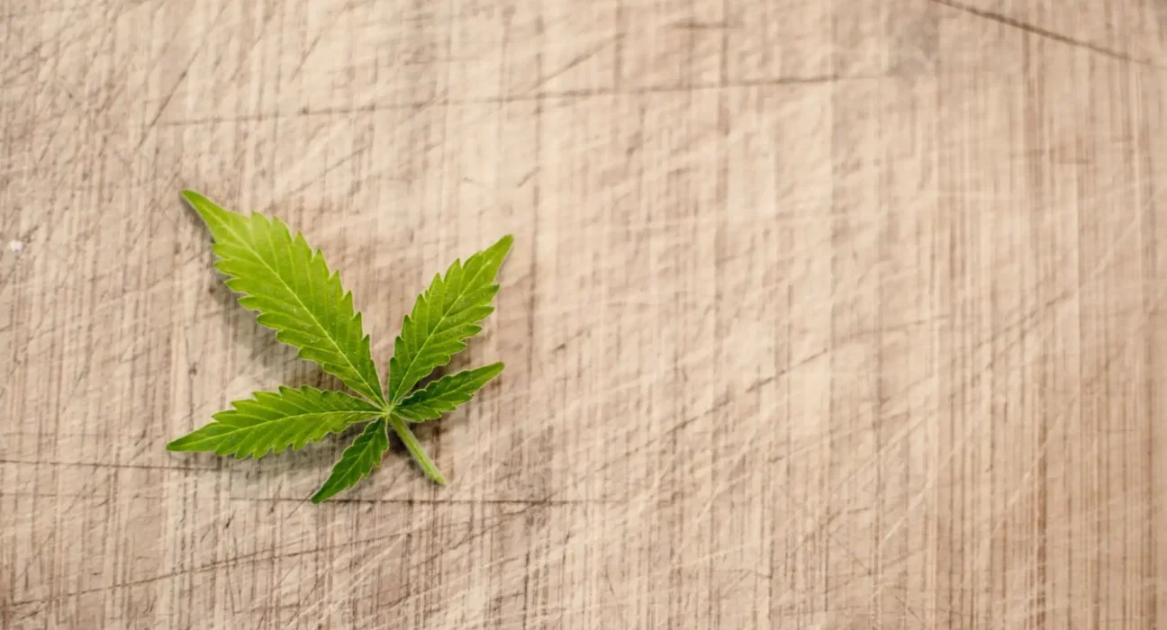 NORML Asks DEA To Reconsider Its Request To Participate In Marijuana Rescheduling Hearing