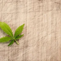 NORML Asks DEA To Reconsider Its Request To Participate In Marijuana Rescheduling Hearing