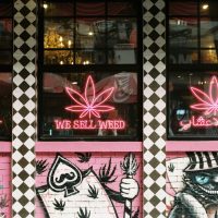 The Cannabis Industry Forgot Who Built It