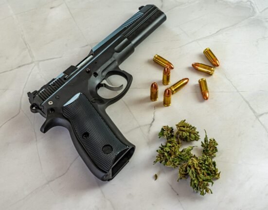 The Trump DOJ Said Weed Smokers Were Too Dangerous To Own Guns. All 9 Supreme Court Justices Disagreed.