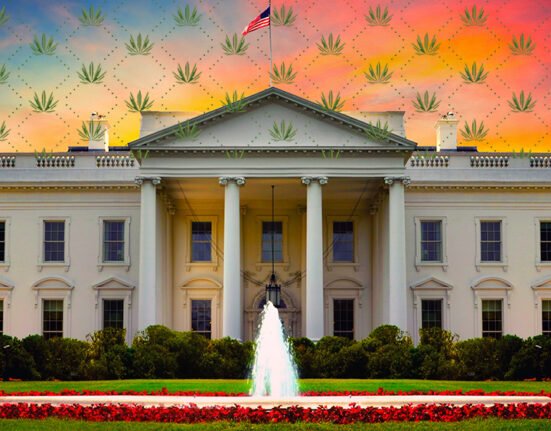 Trump Admin Asks Congress to Regulate Full-Spectrum Hemp Products or Delay Federal Crackdown