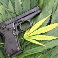 gun control cannabis