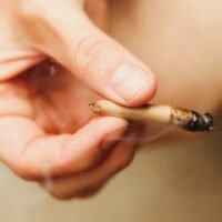 What Your Lungs Already Know About Weed Smoke