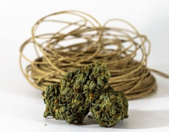 Beyond 0.3%: Why Hemp's Future May Depend on Regulating Purpose Instead of THC