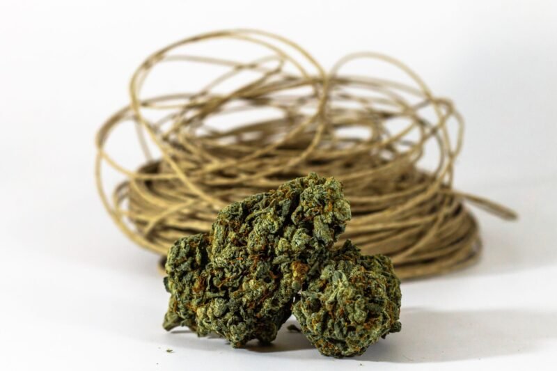 Beyond 0.3%: Why Hemp's Future May Depend on Regulating Purpose Instead of THC