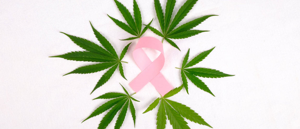 Cancer Cannabis