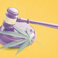 DEA Argues in Favor of Moving Cannabis to Schedule III