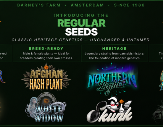 Eight Cannabis Legends Return in Regular-Seed Form