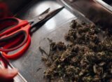 Five Years and $100,000 Later, New York Finally Let Me Sell Weed