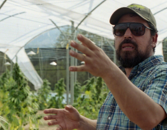 How Washington Killed the Colombian Cannabis Boom And Created the Cocaine Cartels by Accident