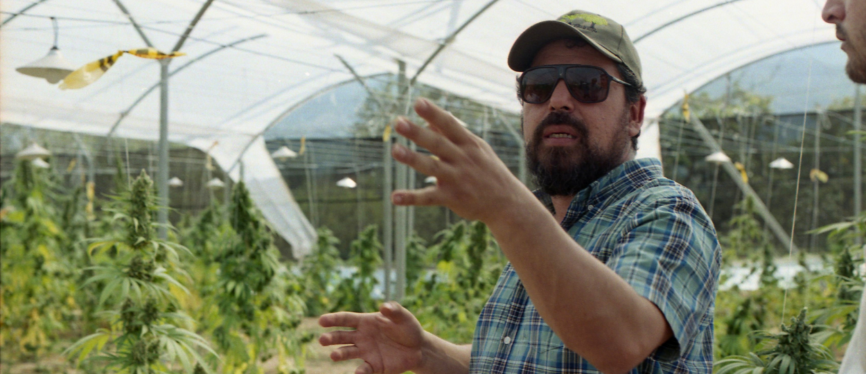 How Washington Killed the Colombian Cannabis Boom And Created the Cocaine Cartels by Accident