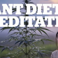 I Talk to Plants. The Cannabis Plant Talks Back.