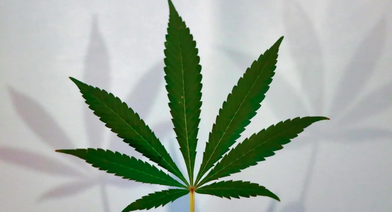 Iowa Democratic Lieutenant Governor Candidate Defends Marijuana Legalization Plan From Criticism