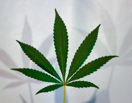 Iowa Democratic Lieutenant Governor Candidate Defends Marijuana Legalization Plan From Criticism