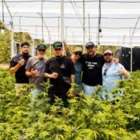My Father Smuggled Cannabis Through Colombia