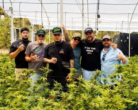 My Father Smuggled Cannabis Through Colombia