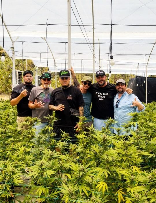 My Father Smuggled Cannabis Through Colombia