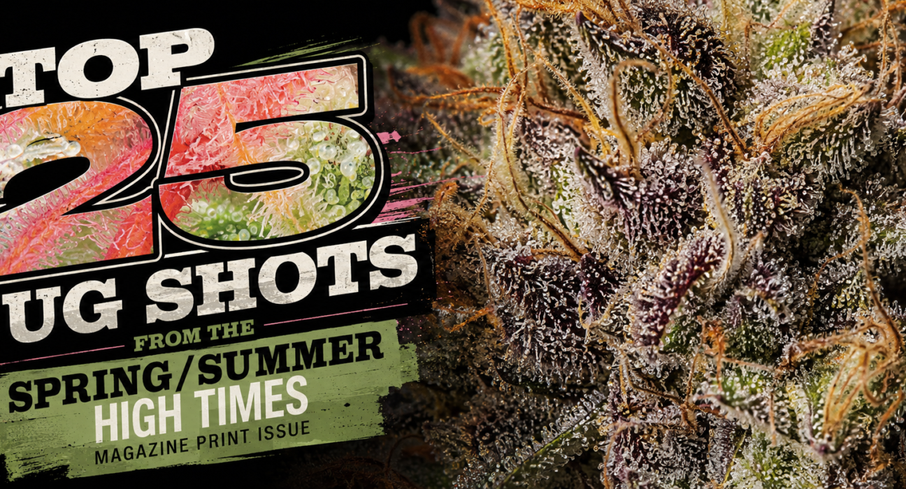 Top 25 Cannabis Nug Shots: High Times Community Photos