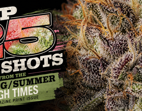 Top 25 Cannabis Nug Shots: High Times Community Photos