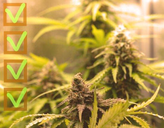 california medical marijuana rescheduling