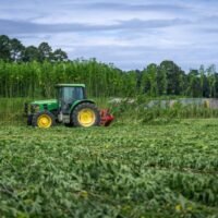 When Farms Become Factories - Cannabis & Tech Today