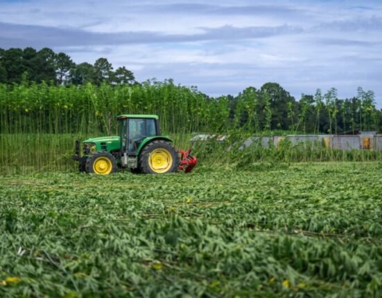 When Farms Become Factories - Cannabis & Tech Today