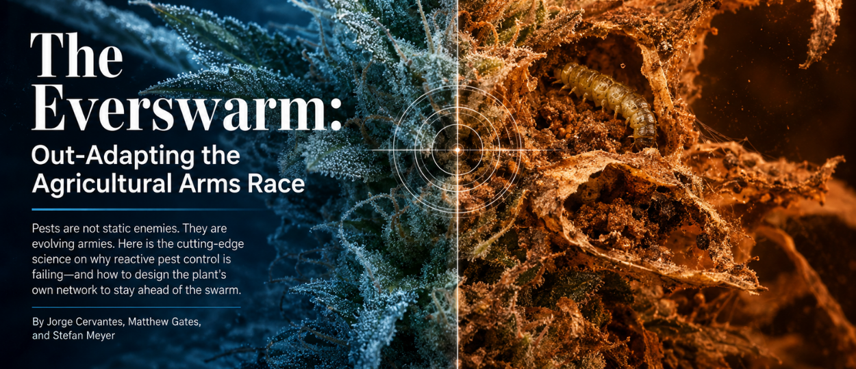 Cannabis Pest Management: The Everswarm IPM Strategy for 2026