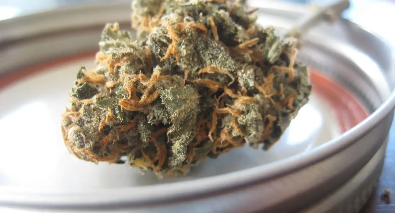 Kentucky's Medical Marijuana Program Is 'Halfway' To Becoming 'Fully Operational,' Governor Says