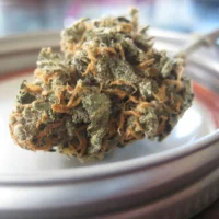 Kentucky's Medical Marijuana Program Is 'Halfway' To Becoming 'Fully Operational,' Governor Says