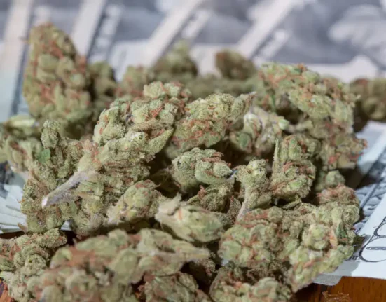 Marijuana Could Generate $111 Billion In Tax Revenue Over A Decade If Legalized Federally And In All 50 States, Yale Report Shows