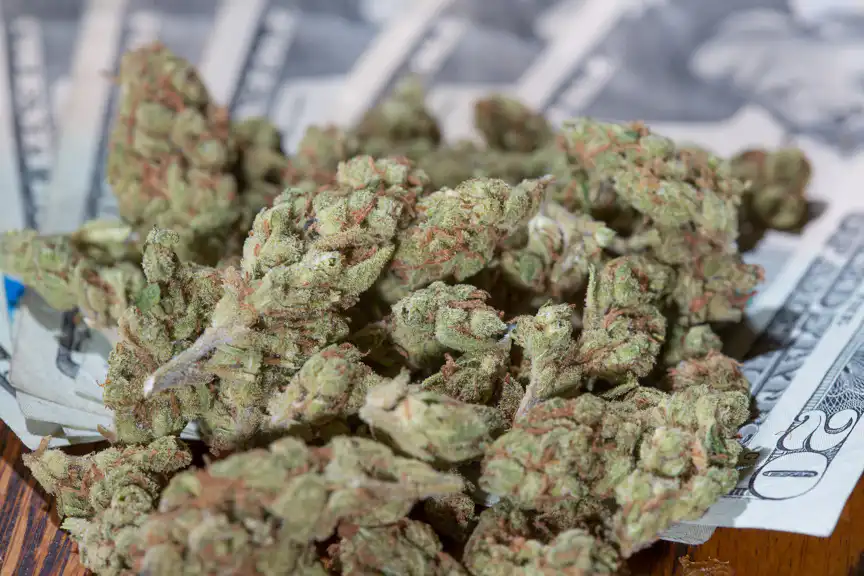 Marijuana Could Generate $111 Billion In Tax Revenue Over A Decade If Legalized Federally And In All 50 States, Yale Report Shows