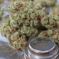 Michigan GOP Lawmaker Seeks To Repeal Marijuana Tax Increase As Rising Costs Cause Businesses To Close