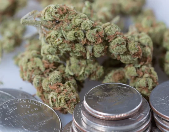 Michigan GOP Lawmaker Seeks To Repeal Marijuana Tax Increase As Rising Costs Cause Businesses To Close