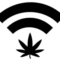 Missouri Officials Got Almost 900 Applications For Final Marijuana Microbusiness Licensing Round