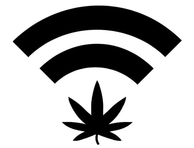 Missouri Officials Got Almost 900 Applications For Final Marijuana Microbusiness Licensing Round